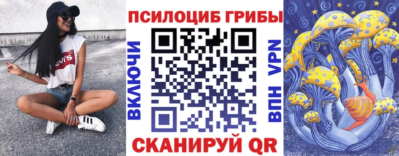 Купить где  Дагестанские Огни  Псилоцибиновые грибы GOLDEN TEACHER 